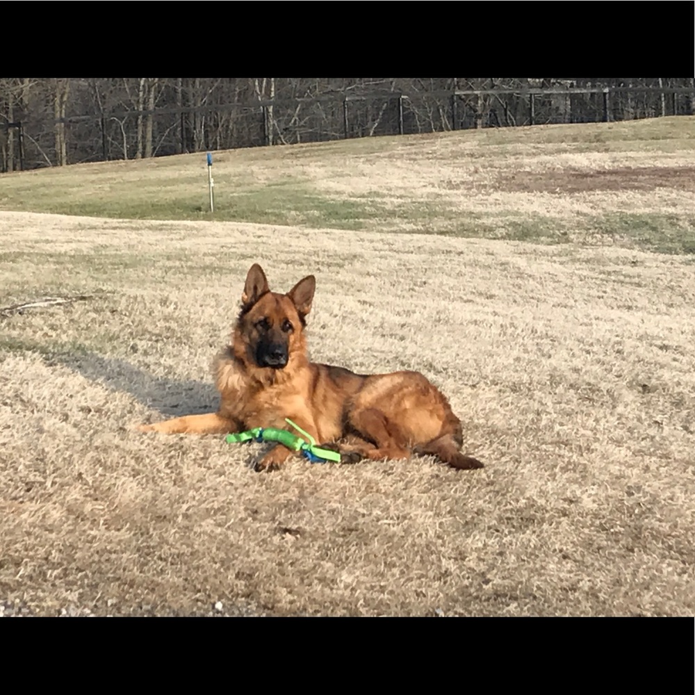 Meet your Posher, Leigh